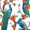 Peacocks On Cherry Blossom tree paint by numbers