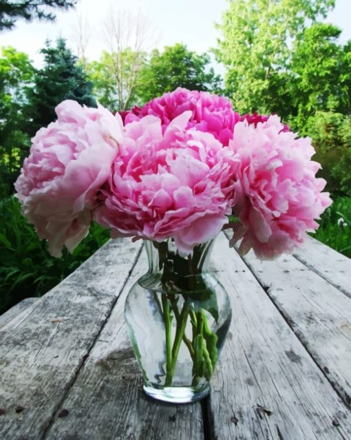 Peonies In Glass paint by numbers