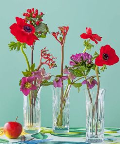 Poppies Glass Vases paint by numbers