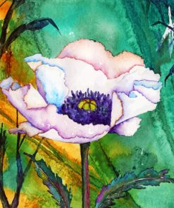 White Poppy Art paint by numbers