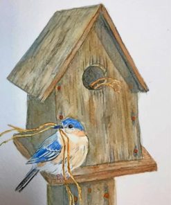 Aesthetic Bird House Paint by numbers