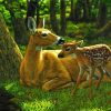 deer and fawn paint by numbers