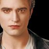 Edward Cullen Twillight Paint by numbers