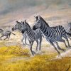 running zebra Herd paint by numbers