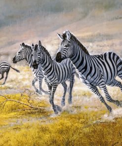 running zebra Herd paint by numbers