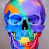 Colorful Skull Paint by numbers