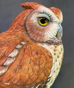 Eastern Screech Owl paint by number