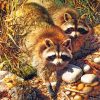 cute-raccoons-paint-by-numbers