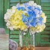 Hydrangeas In Jar Paint by numbers