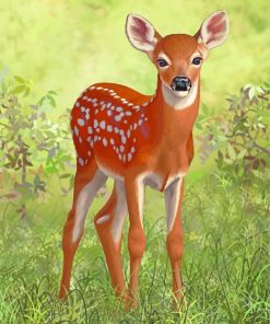 White Tailed Deer paint by numbers