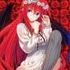 anime-girl-Rias-Gremory-paint-by-numbers