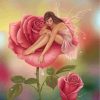 fairy-and-pink-rose-paint-by-numbers