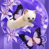 kitten-with-purple-butterflies-paint-by-numbers