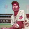 Satchel Paige Player Paint by numbers