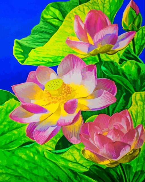 Water Lily Paint by numbers