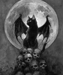 Bat Cat And Skulls Paint by numbers