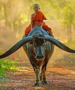 boy-monk-riding-buffalo-paint-by-numbers