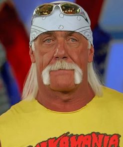 cool-hulk-hogan-paint-by-number