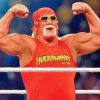 hulk-hogan-paint-by-numbers