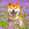 Smiling Shiba Inu Paint by numbers