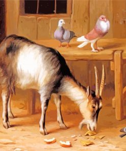 A Goat And Pigeons In A Farmyard paint by numbers