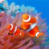 Aesthetic Clownfish paint by numbers