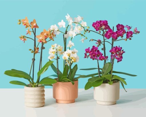 Aesthetic Orchids Vases paint by number