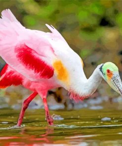 Aesthetic Roseate Spoonbill paint by numbers