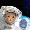 Astronaut Cat paint by number