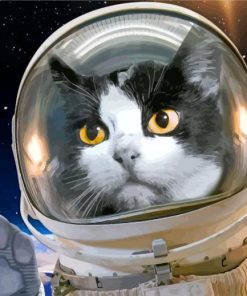 Astronaut Space Cat paint by number