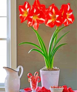 Blooming Amaryllis Flowers paint by number