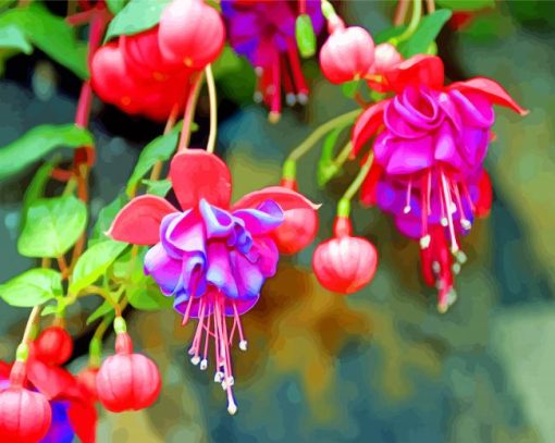 Blossom fuchsia flowers paint by numbers