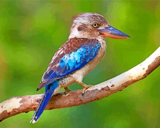 Blue Winged Kookaburra bird paint by numbers