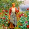 Daniel Ridgway Poppies paint by numbers