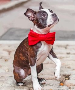 Dog With Red Bow Tie paint by number