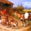 Farmyard Scene With Goats And Chickens paint by numbers