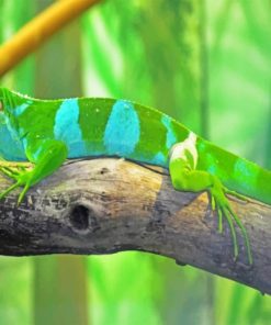 Fijian-Banded-Iguana-paint-by-numbers