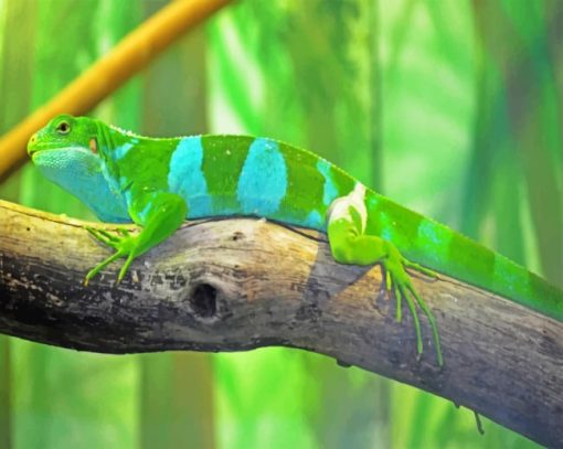 Fijian-Banded-Iguana-paint-by-numbers