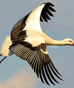 Flying Stork paint by number