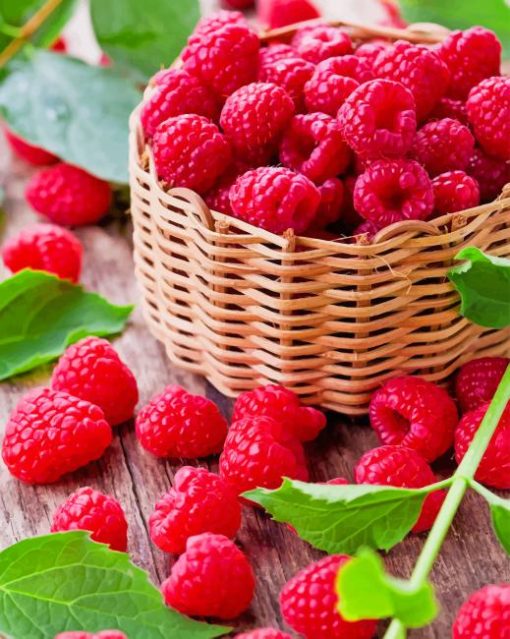 Fresh-raspberry-fruit-paint-by-number