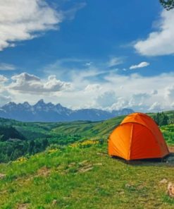 Gros Ventre Road Moose Camp paint by numbers