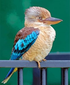 Kookaburra Bird paint by number