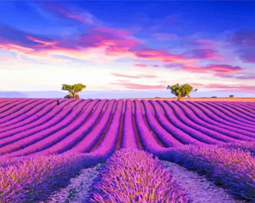 Lavender Field Paint by numbers