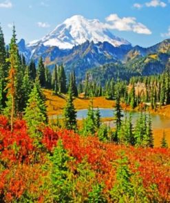 Mount Rainier Landscape Paint by numbers