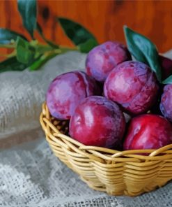 Plums Fruit In Basket paint by number