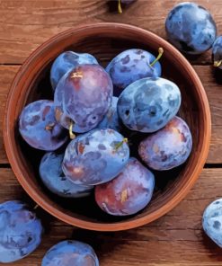 Plums In Bowl paint by number