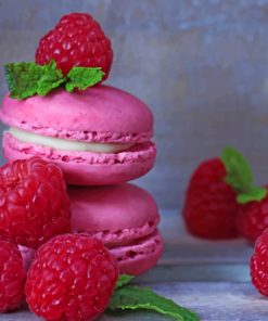 Raspberry Macarons Paint By numbers