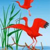 Red Scarlet ibis Birds paint by numbers