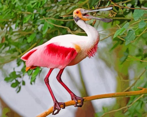 Roseate spoonbill On Stick paint by numbers