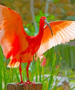 Scarlet Ibis Big Wings paint by numbers